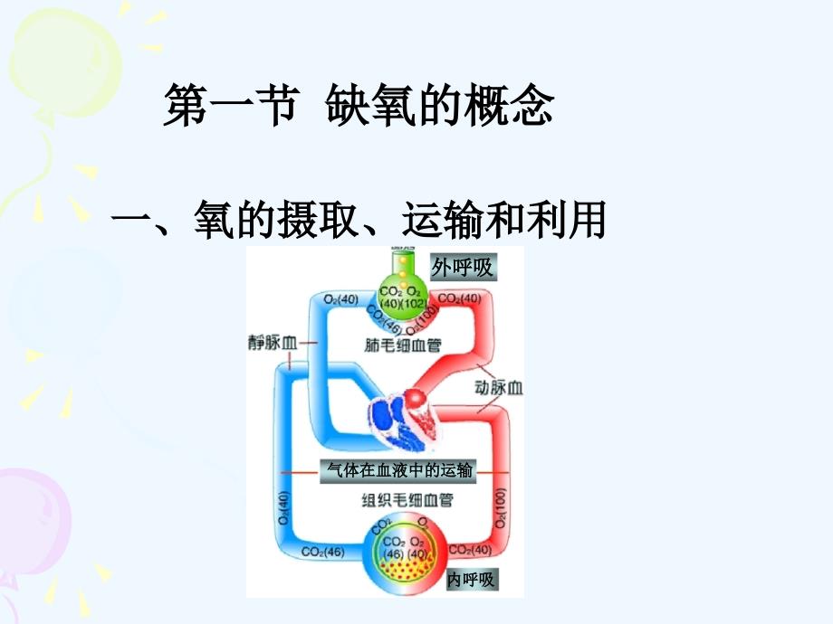 动物病理学缺氧_第1页