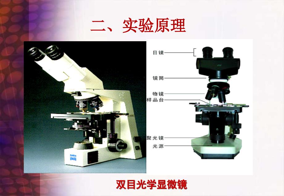 实训一显微镜的使用和微生物测微技术.ppt_第4页