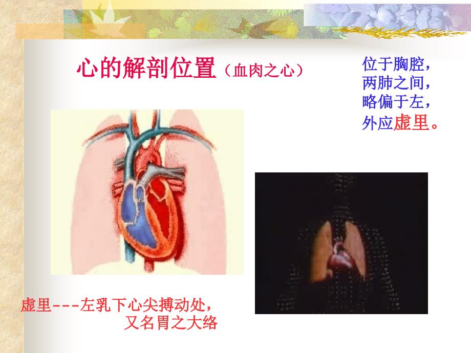 藏象学说第三章藏象心中医学基础课件_第4页