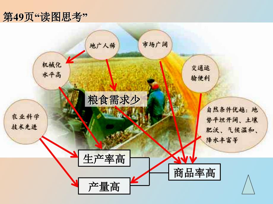 高一地理商品谷物农业yong_第4页