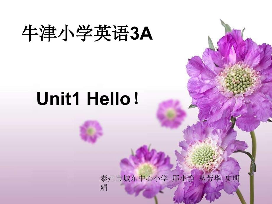 牛津小学英语3AUnit1第一课时NX_第1页