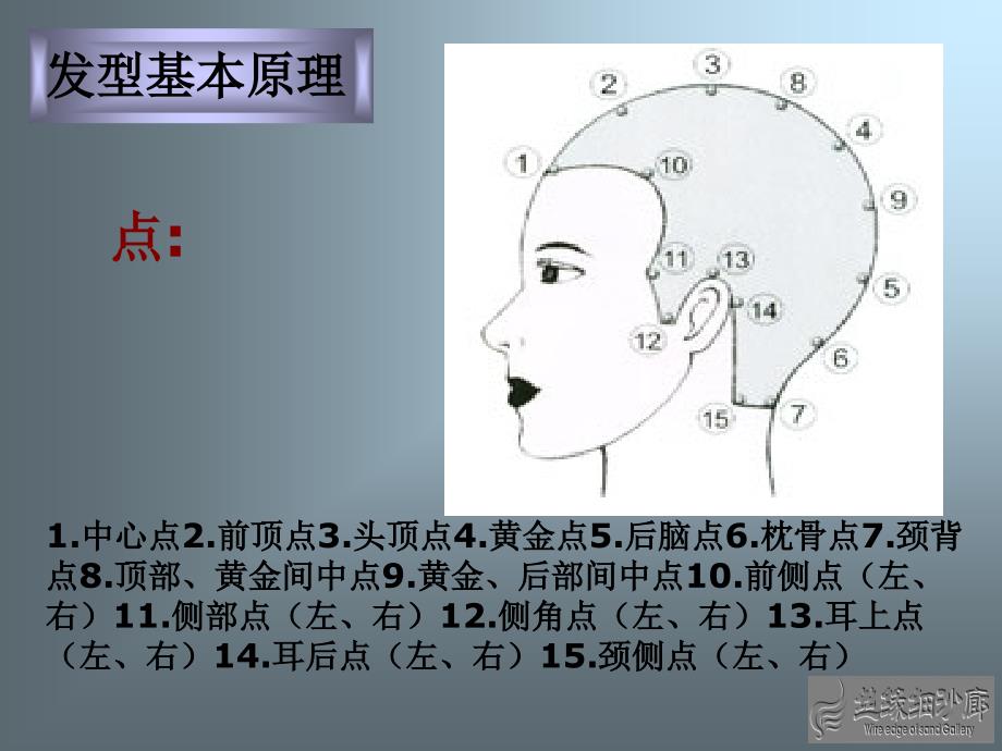 标榜四大基本型PPT课件_第2页