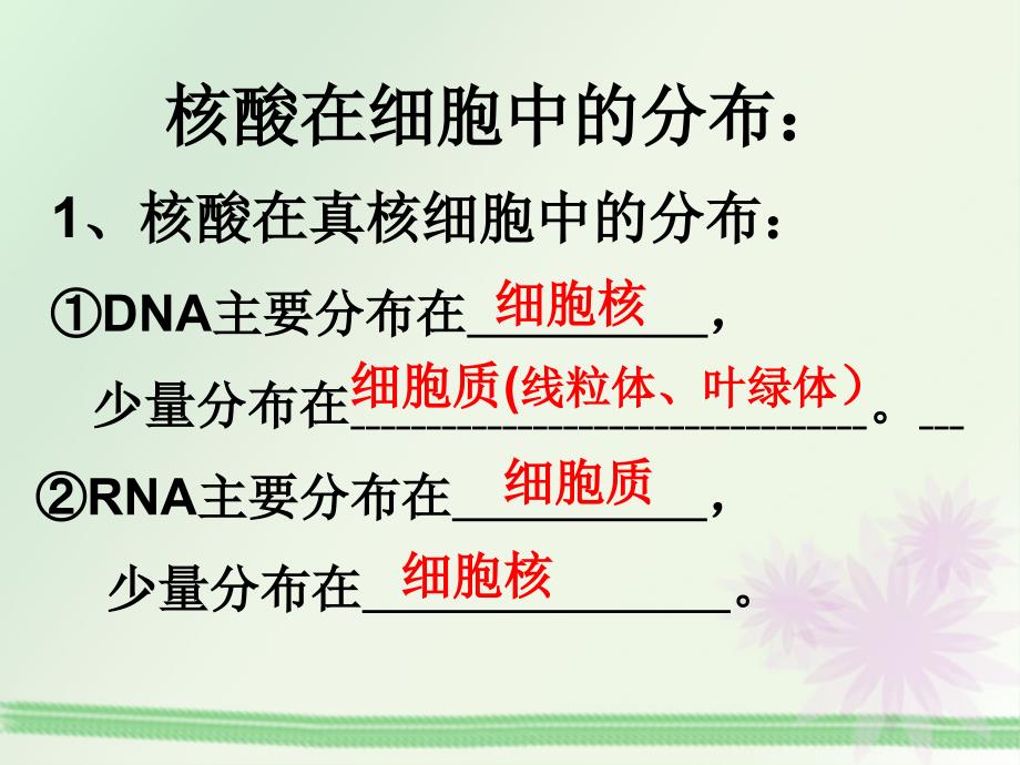 23遗传信息的携带者核酸_第3页