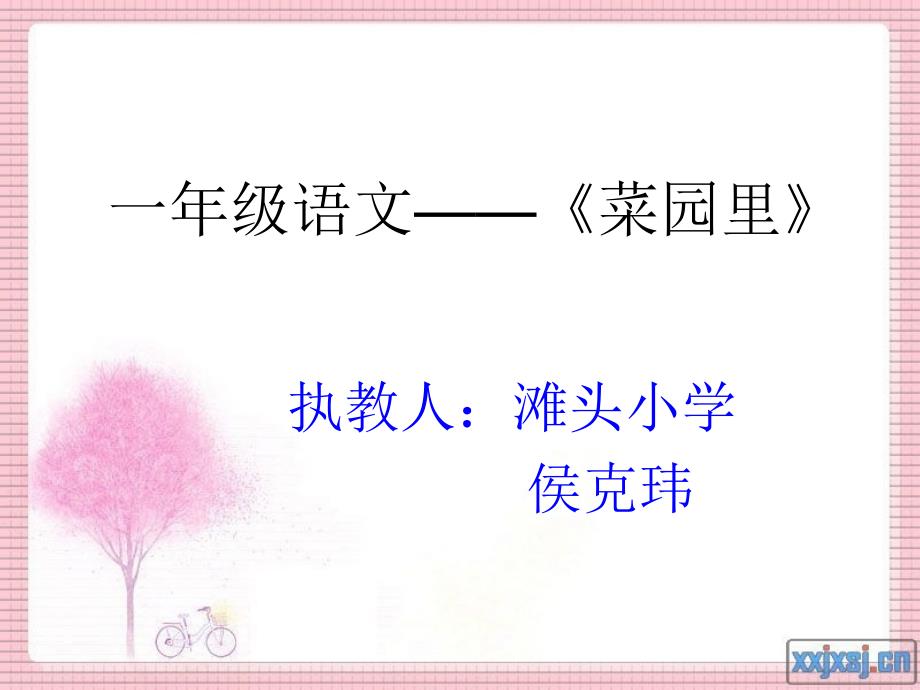 《菜园里》课件_第1页