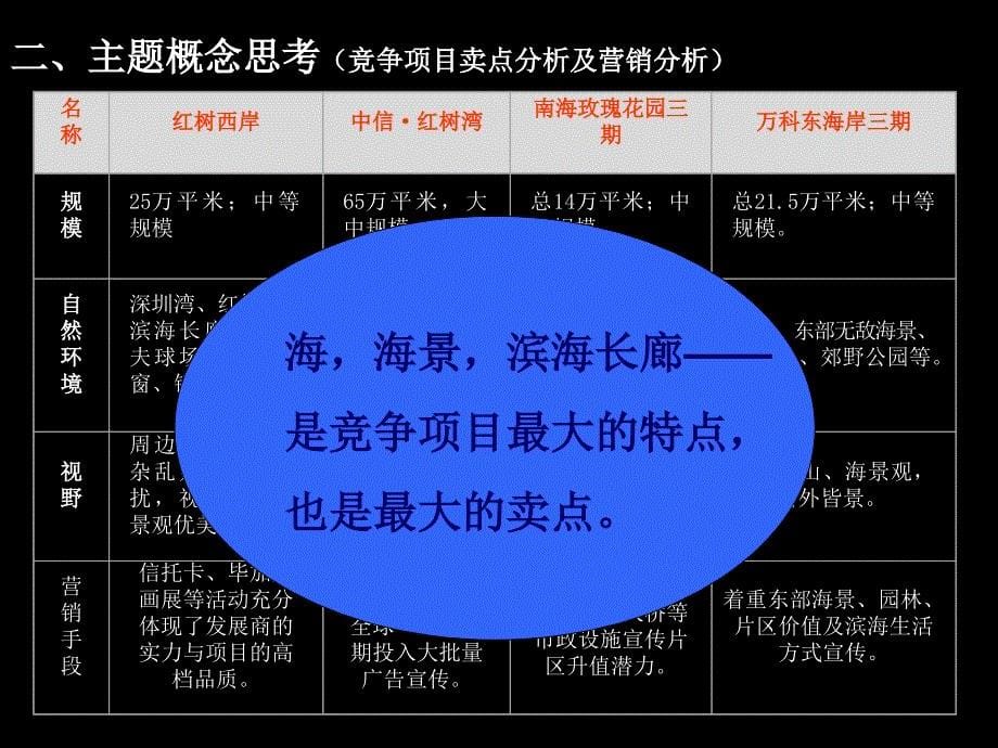 德思勤深圳半岛城邦豪宅营销策略报告66PPT_第5页