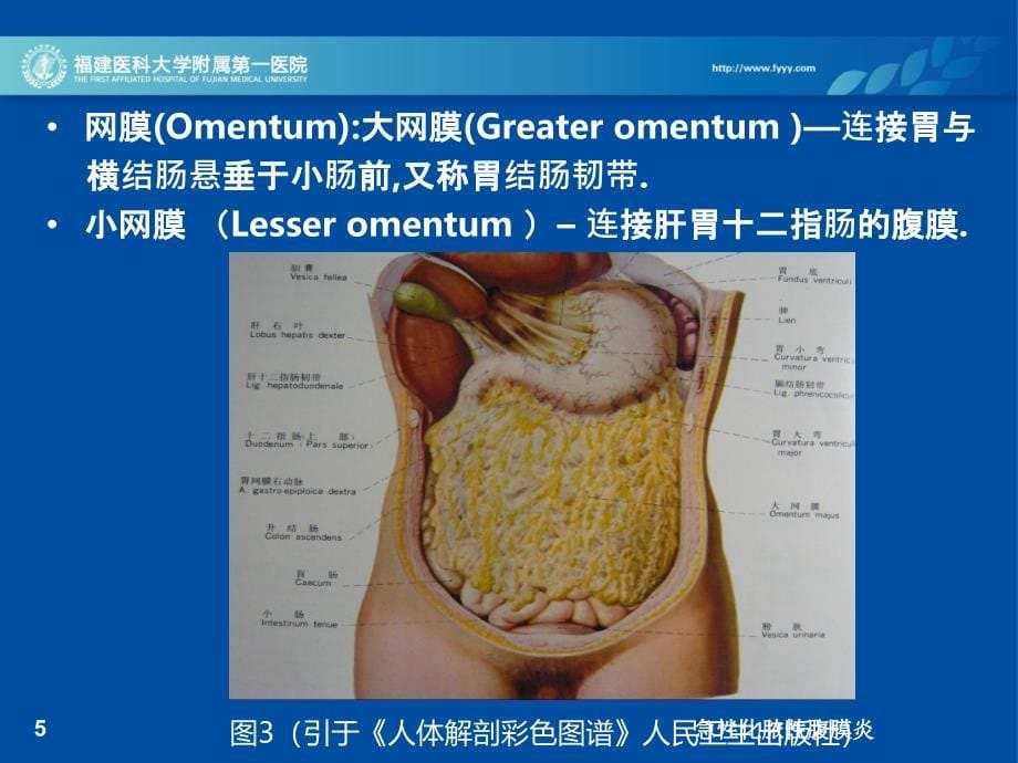 急性化脓性腹膜炎培训课件_第5页