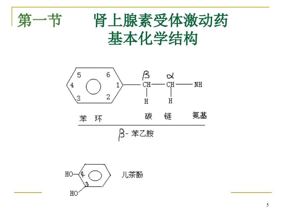 肾上腺素受体激动药_第5页