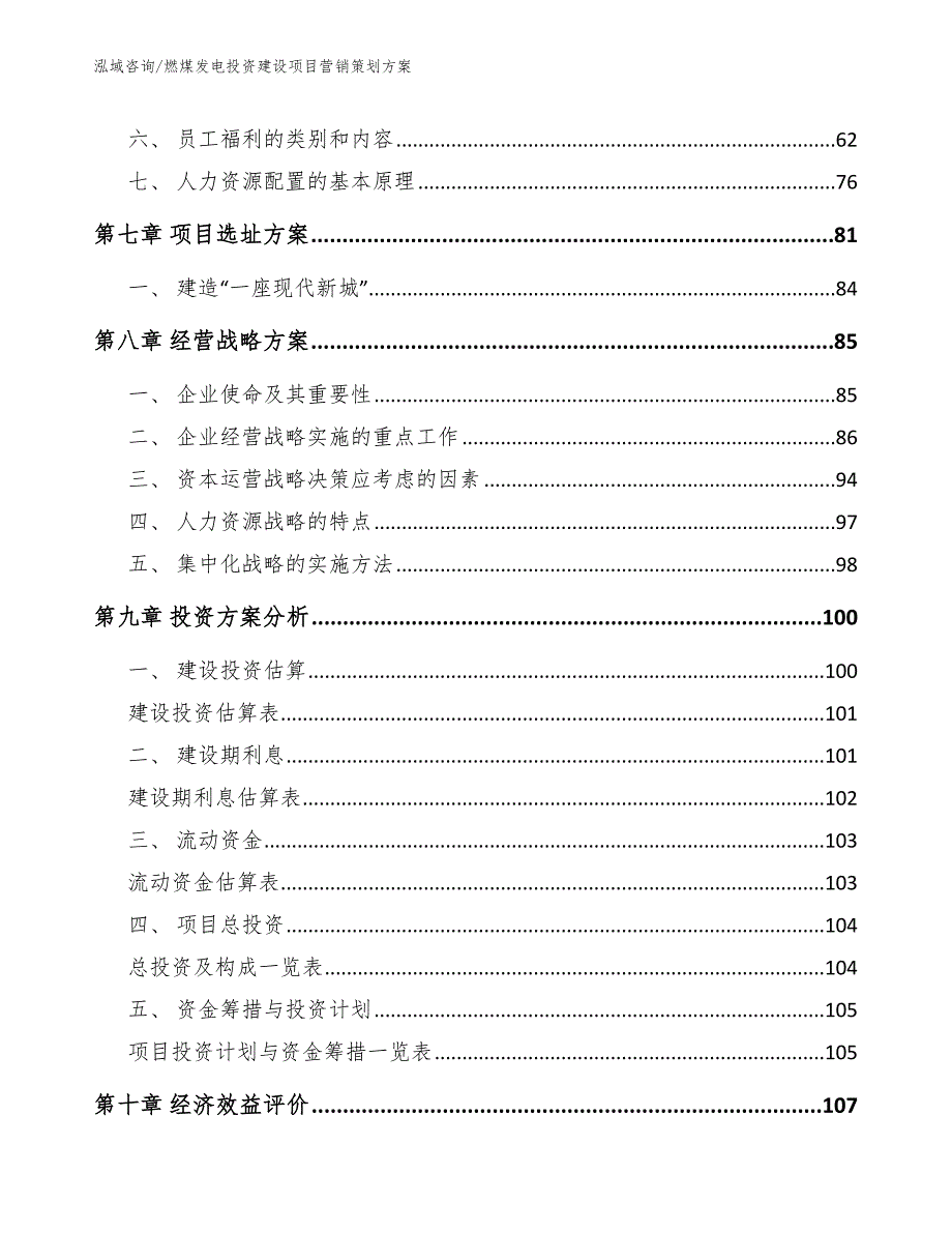 燃煤发电投资建设项目营销策划方案_第3页