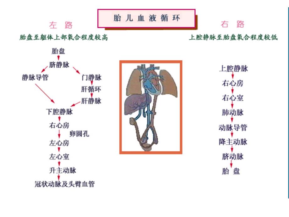 儿童保健 (10)_第3页