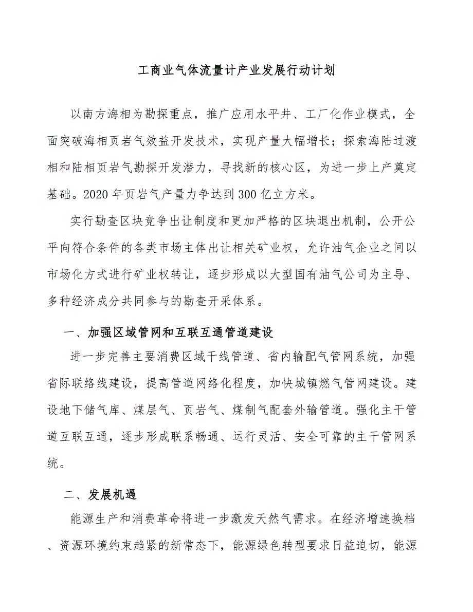 工商业气体流量计产业发展行动计划_第1页