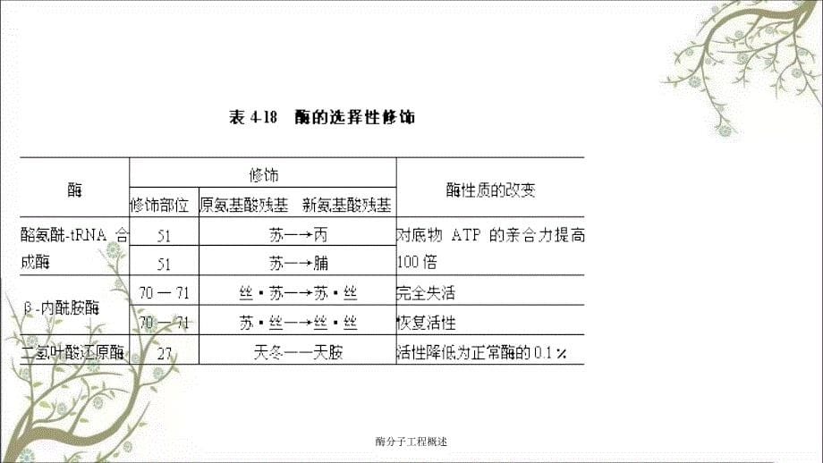 酶分子工程概述课件_第5页