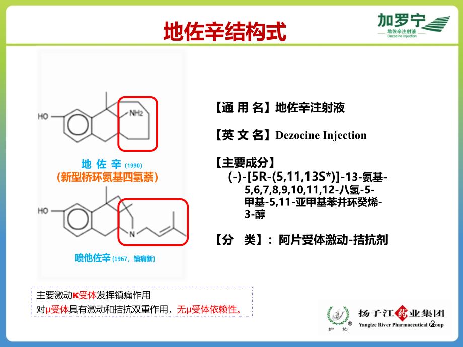 地佐辛注射液使用指南_第2页