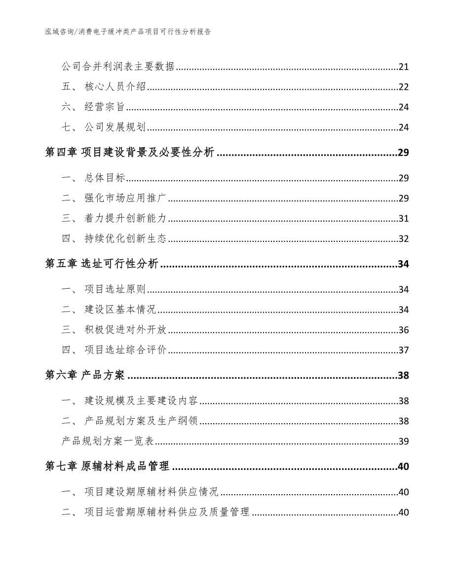 消费电子缓冲类产品项目可行性分析报告_参考范文_第5页