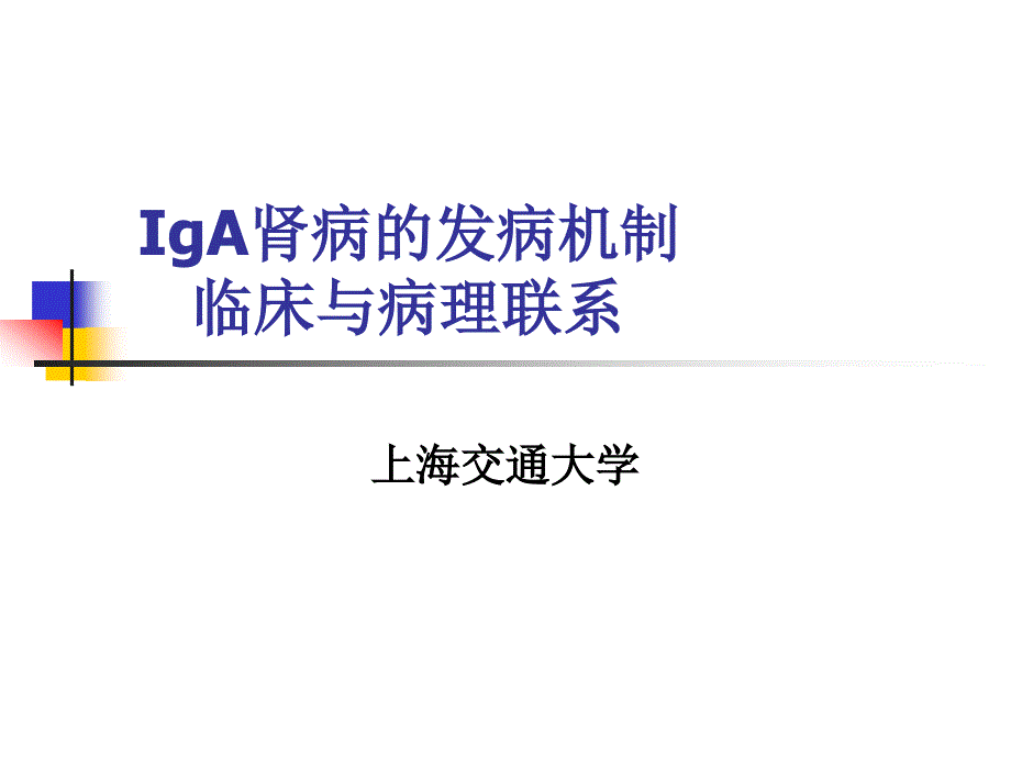 IgA肾病的发病机制、临床与病理_第1页