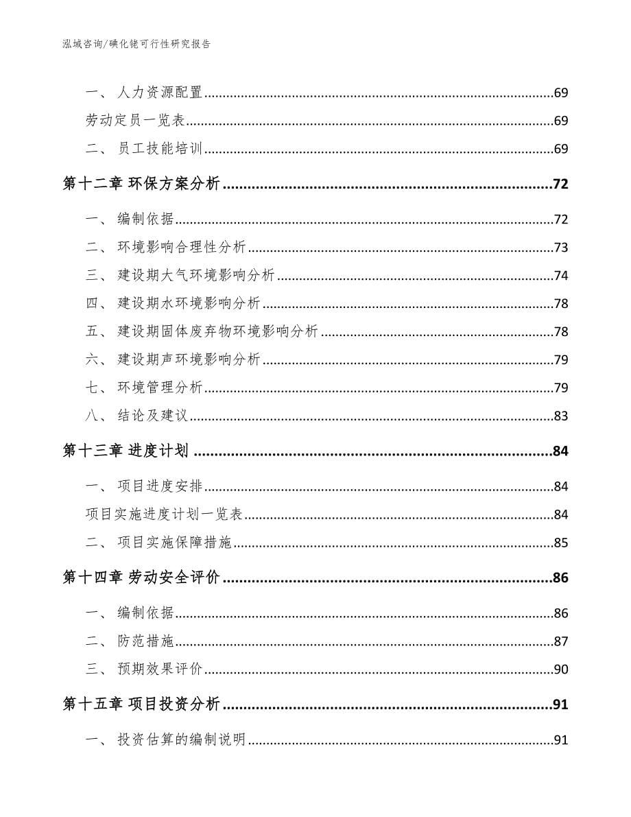 碘化铑可行性研究报告_模板_第5页