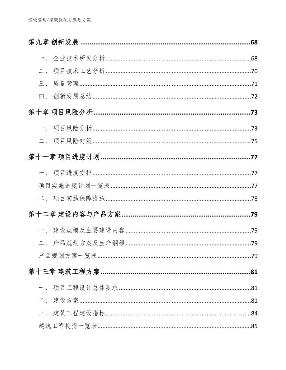 辛酸铑项目策划方案（范文参考）_第4页