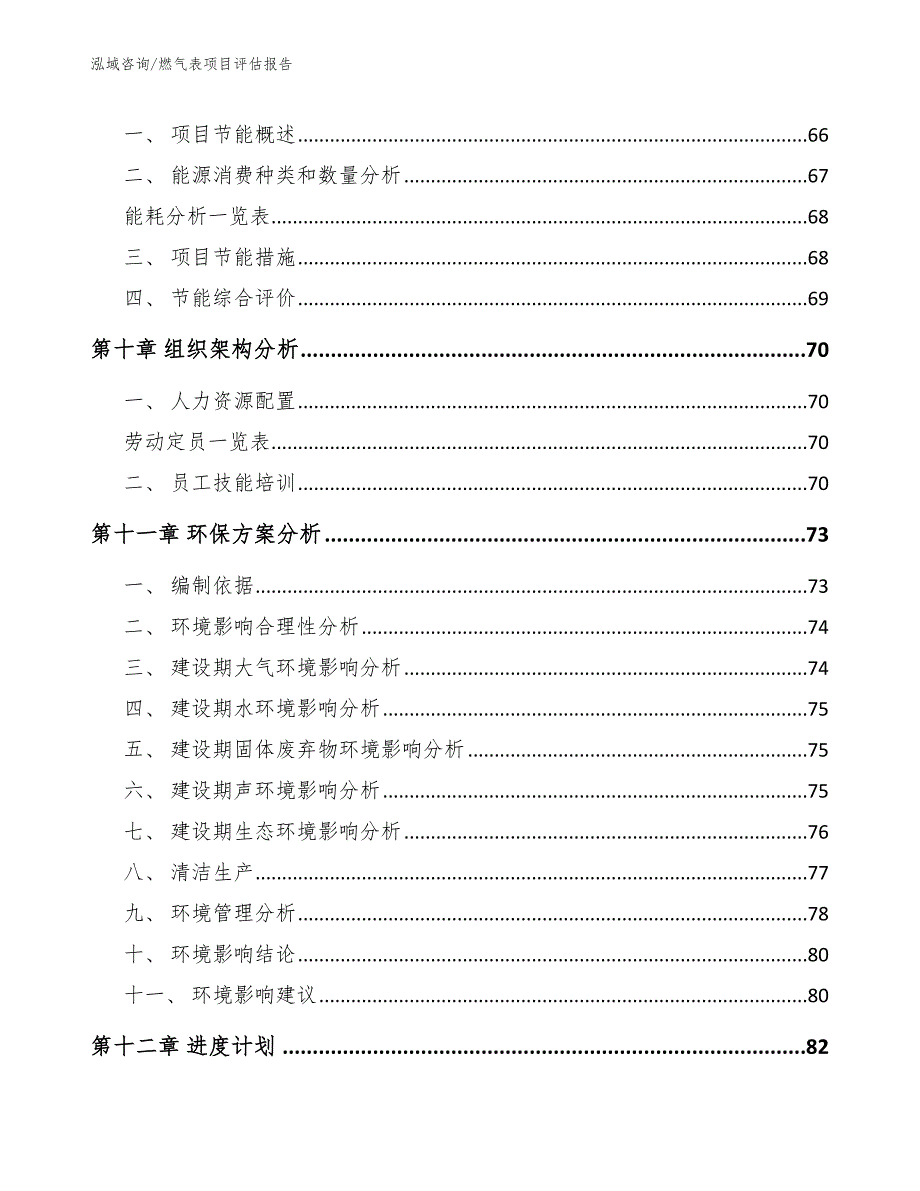 燃气表项目评估报告_第4页