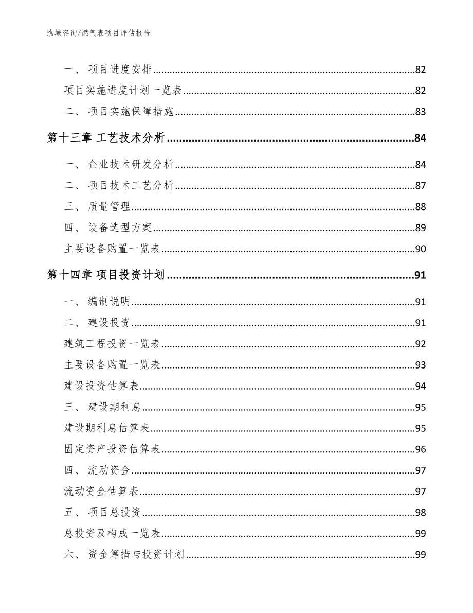 燃气表项目评估报告_第5页