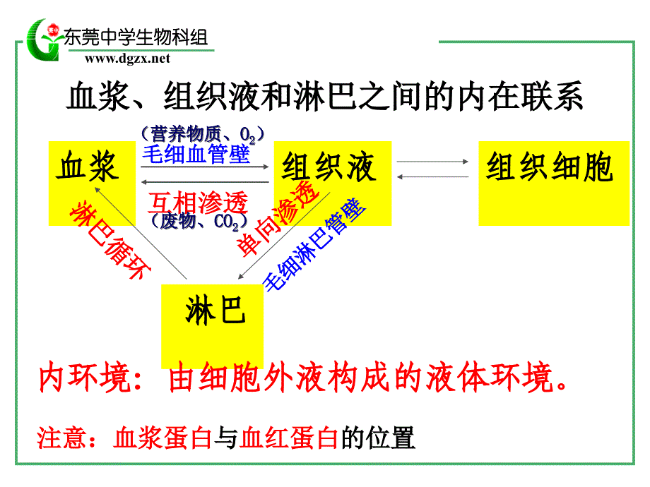 第一部分人体的内环境与稳态_第4页