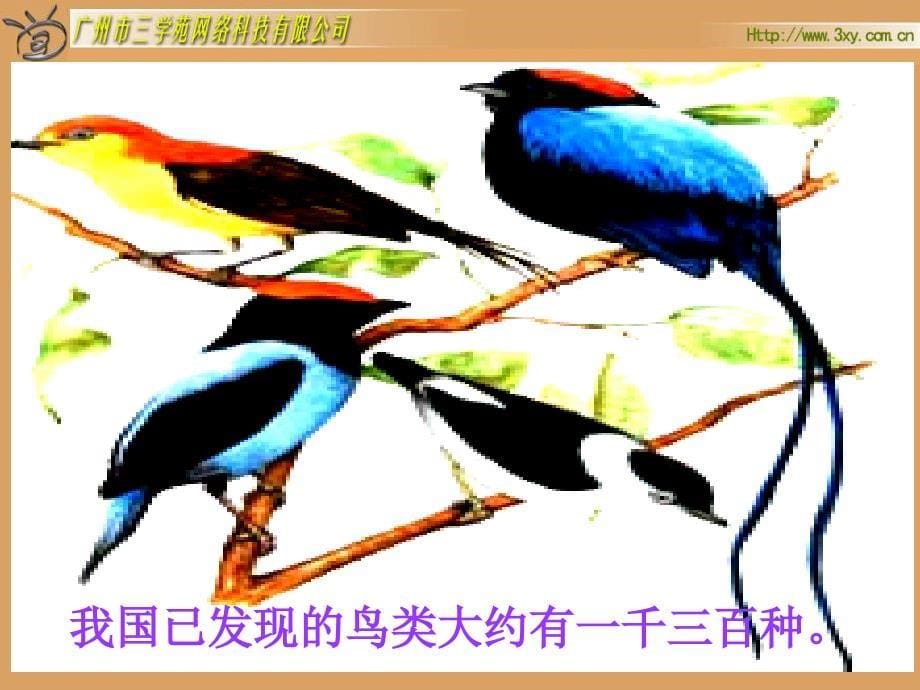 北师大版小学数学二年级下册《数一数_生活中的大数》课件_第5页