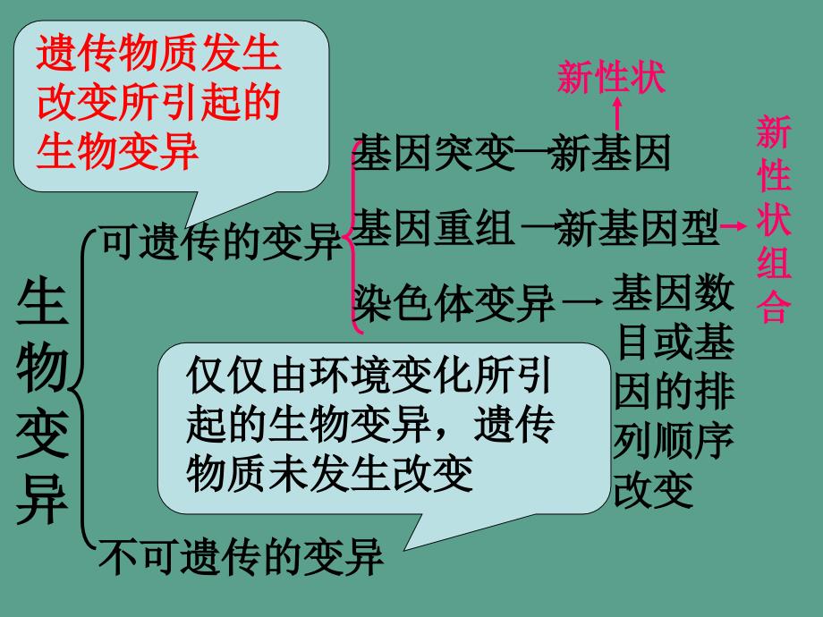 人教版教学单倍体育种多倍体育种ppt课件_第1页