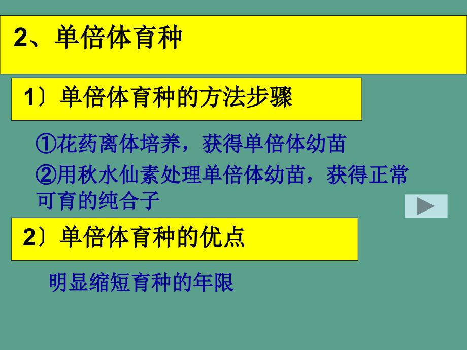 人教版教学单倍体育种多倍体育种ppt课件_第3页