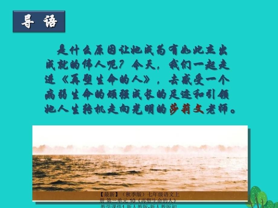 最新七年级语文上册第三单元10再塑生命的人教学课件1新人教版新人教版初中七年级上册语文课件_第5页