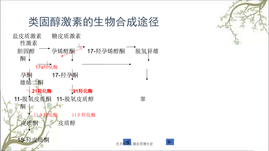 先天性肾上腺皮质增生症_第4页