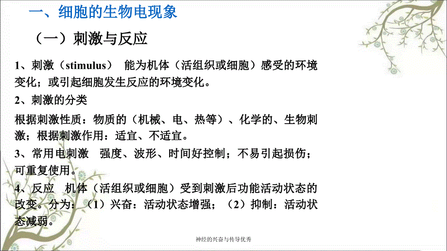 神经的兴奋与传导优秀_第1页