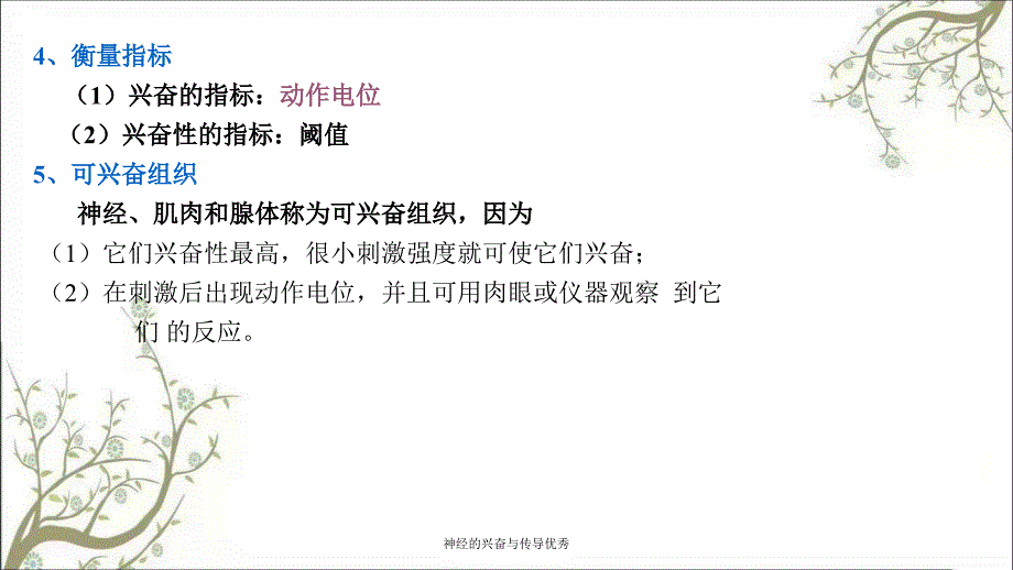 神经的兴奋与传导优秀_第3页