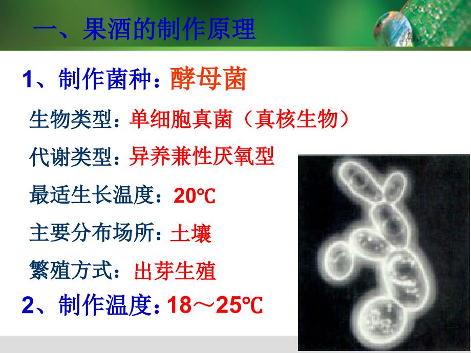 人教版高中生物选修1专题1_第4页