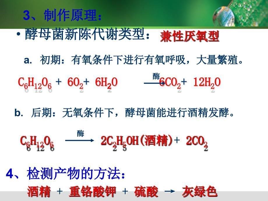 人教版高中生物选修1专题1_第5页