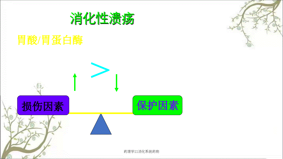 药理学11消化系统药物_第3页