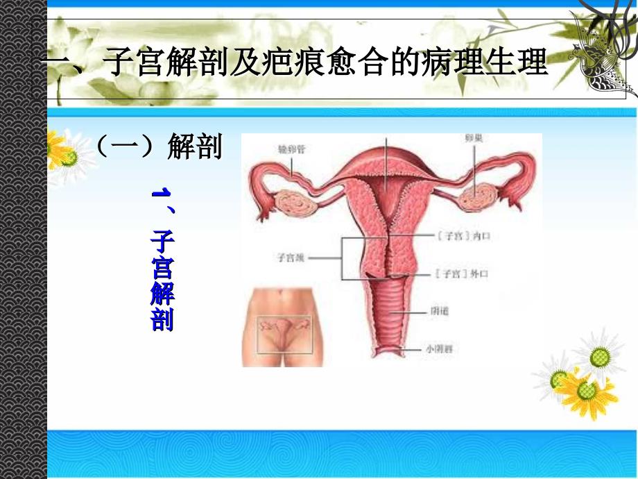 子宫疤痕中期妊娠诊断和处理_第4页