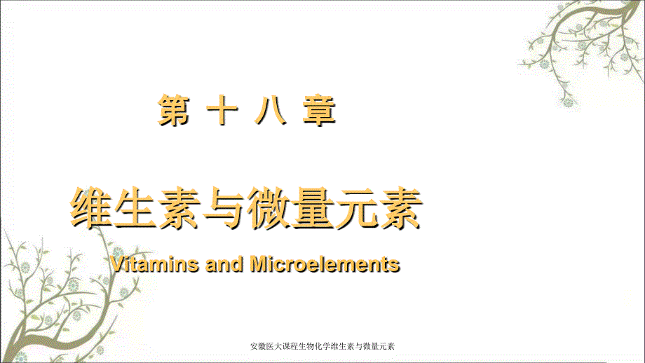 安徽医大课程生物化学维生素与微量元素课件_第1页