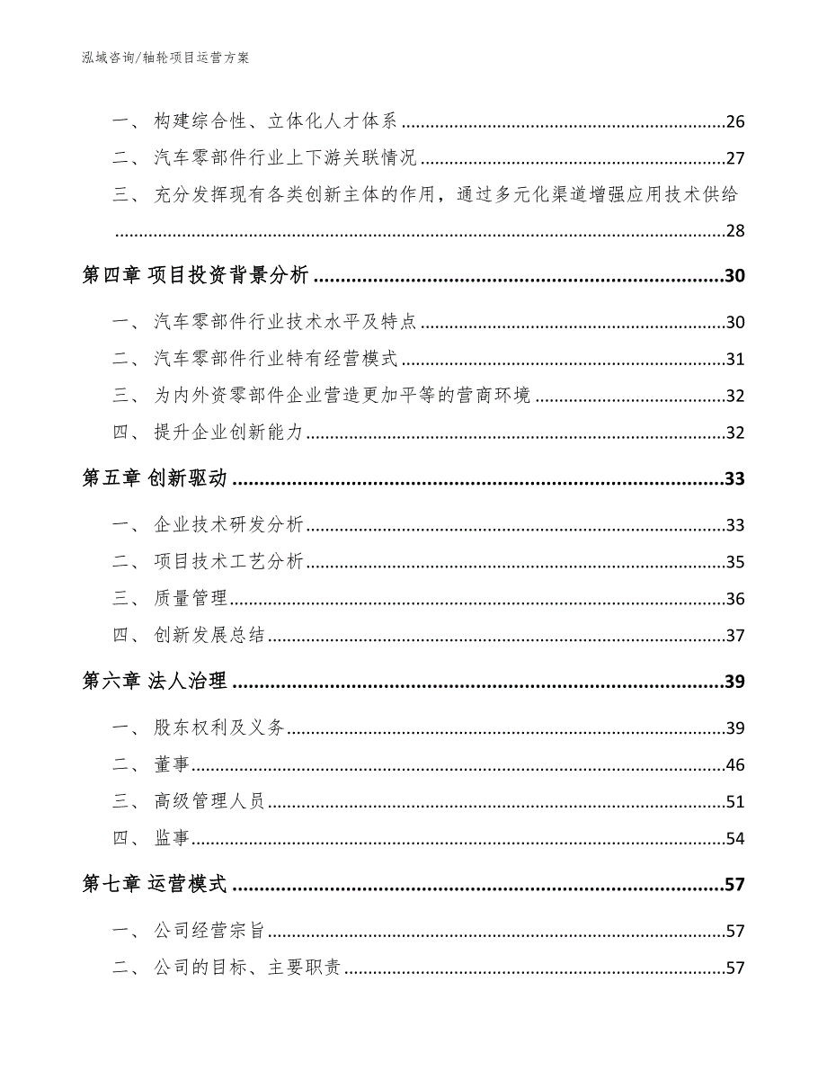 轴轮项目运营方案（参考模板）_第3页