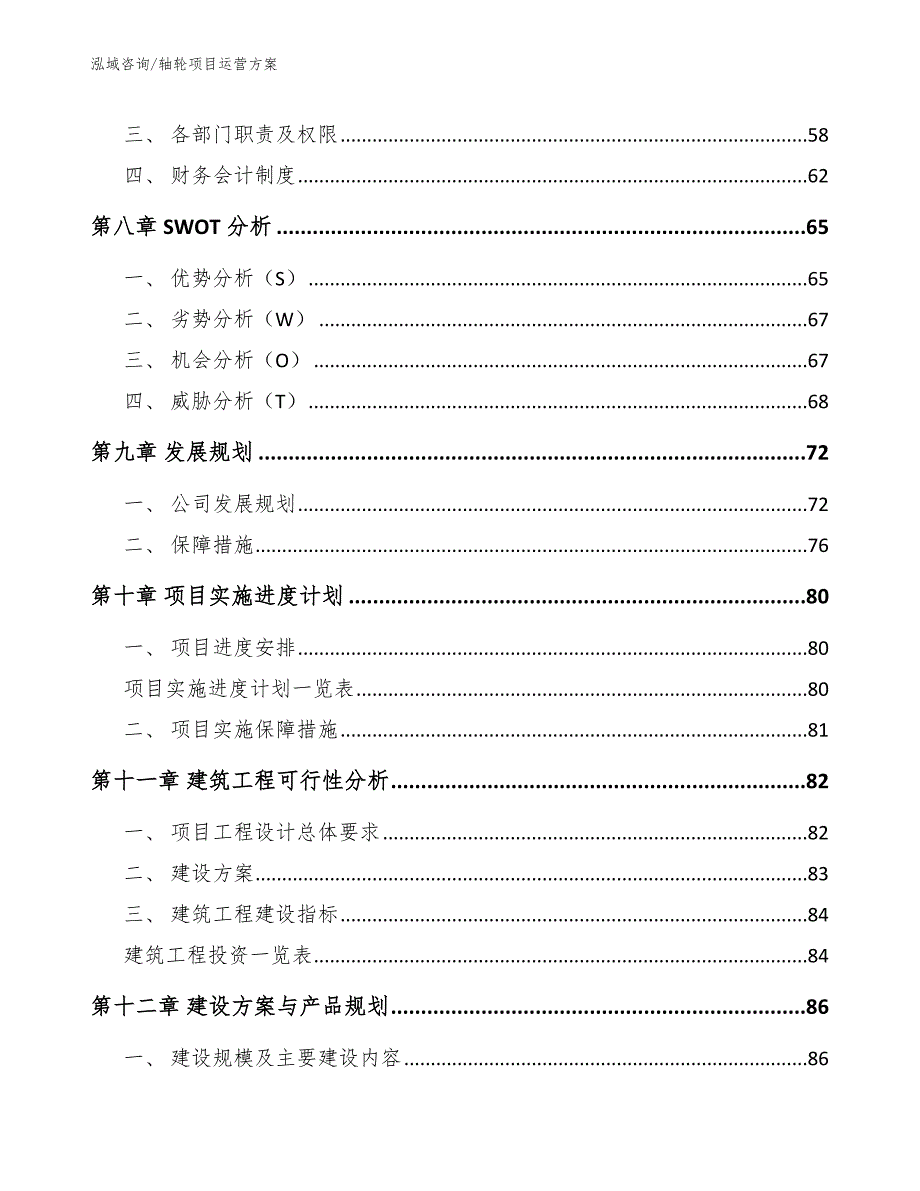 轴轮项目运营方案（参考模板）_第4页