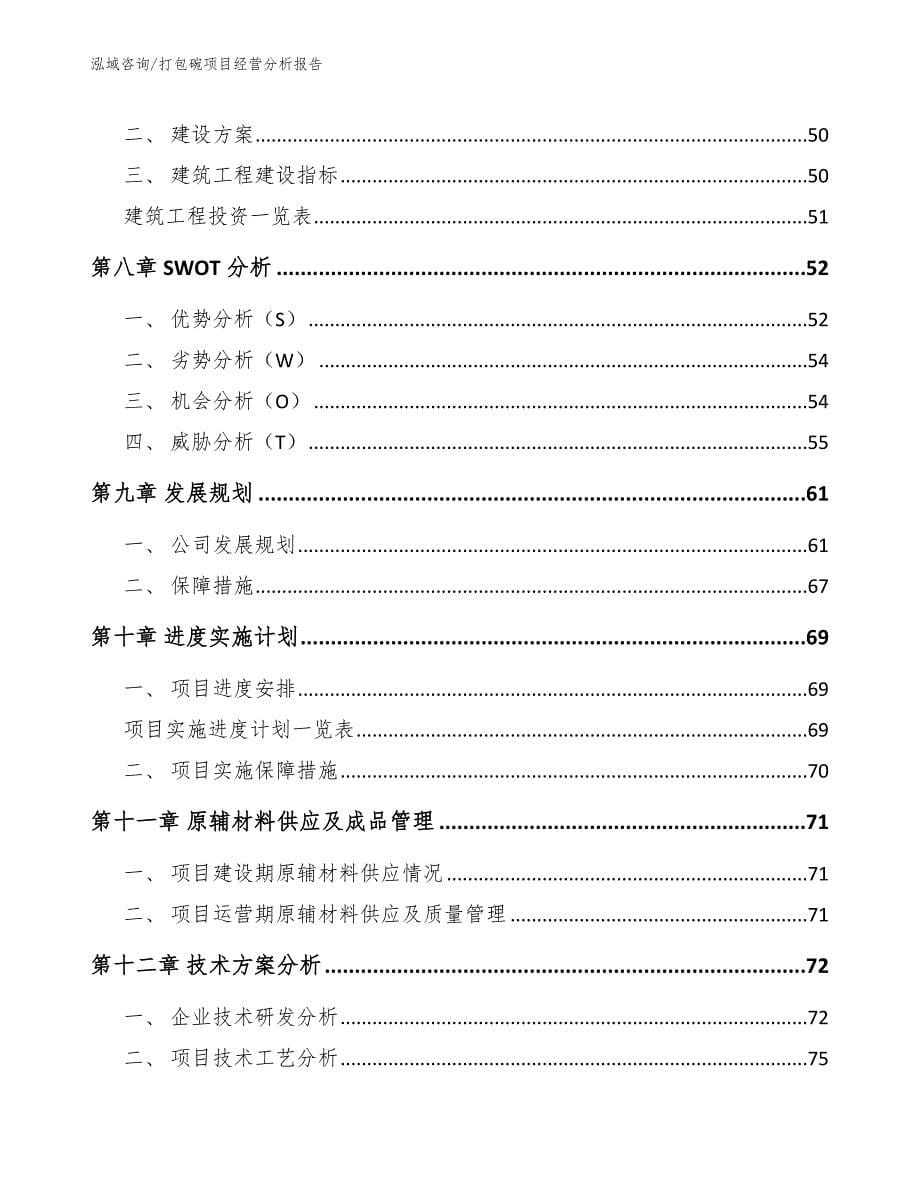 打包碗项目经营分析报告_模板_第5页