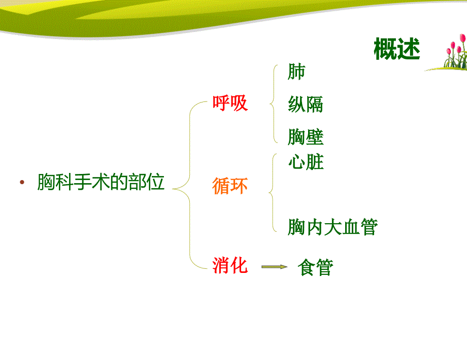 胸科手术的麻醉.ppt_第2页