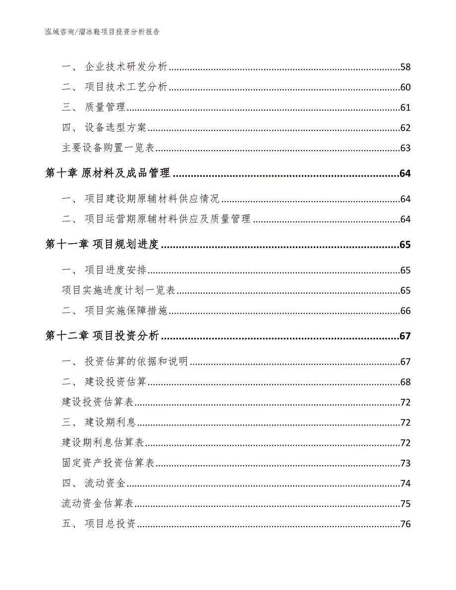 溜冰鞋项目投资分析报告_第3页