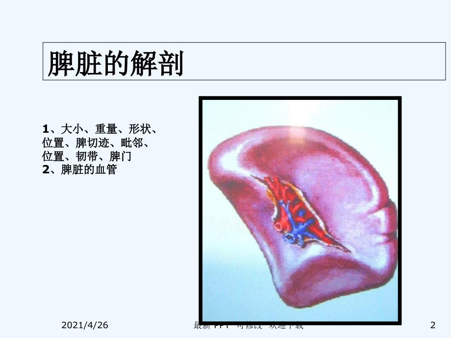 脾脏及脾脏疾病影像学表现精品课件_第2页