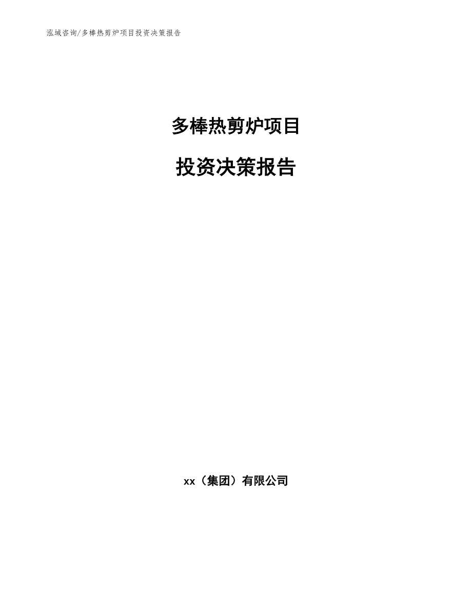 多棒热剪炉项目投资决策报告_模板参考_第1页