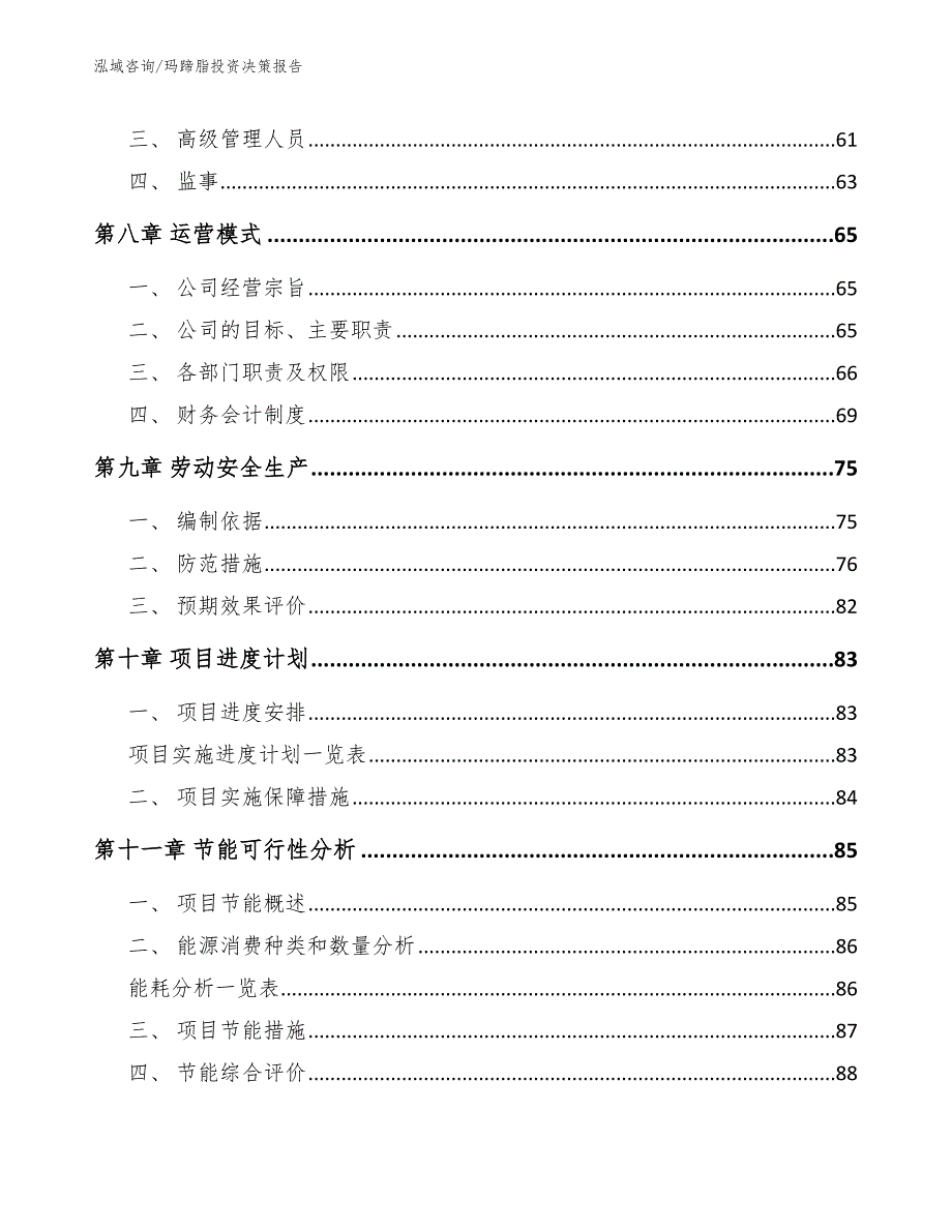 玛蹄脂投资决策报告_第4页