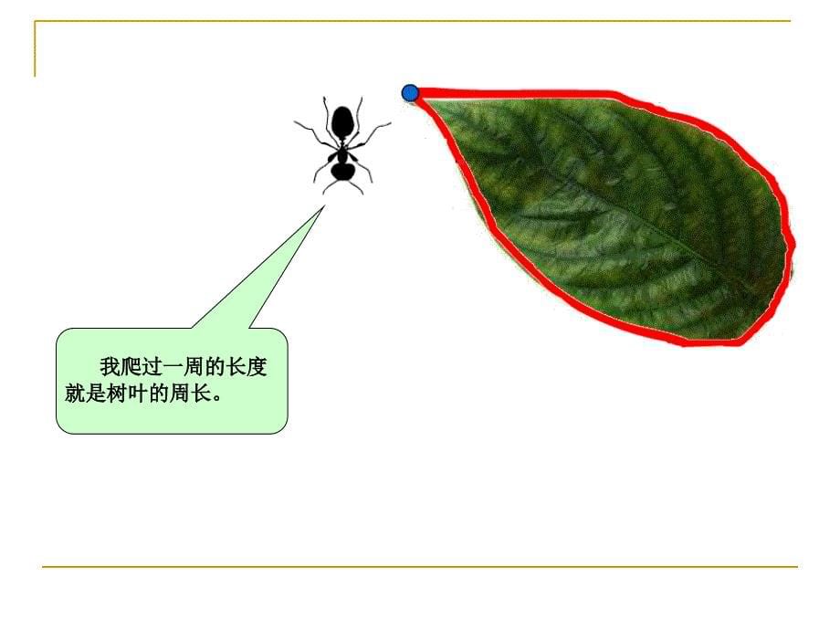 什么是周长 (3)_第5页