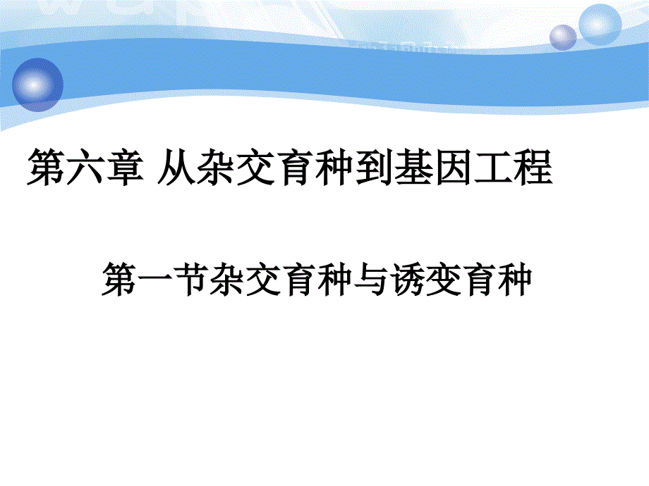 61杂交育种与诱变育种上课用_第1页