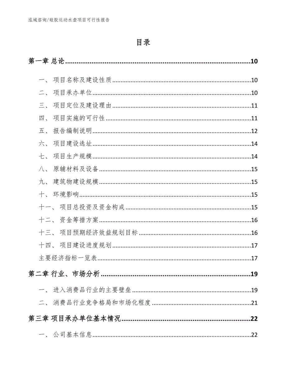 硅胶运动水壶项目可行性报告（模板范文）_第2页