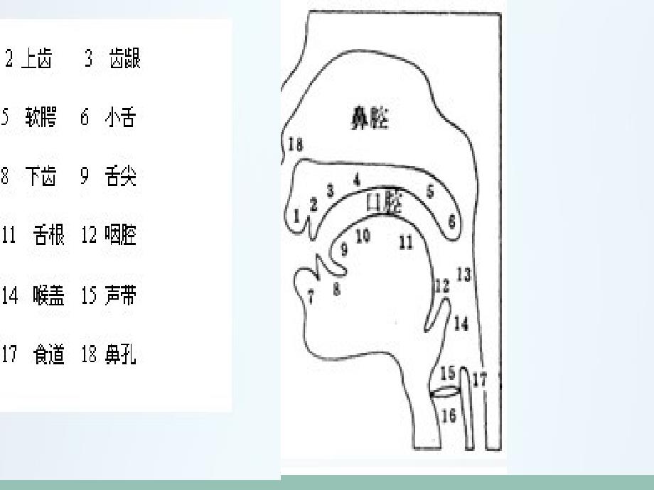 少儿口才第一课_第2页