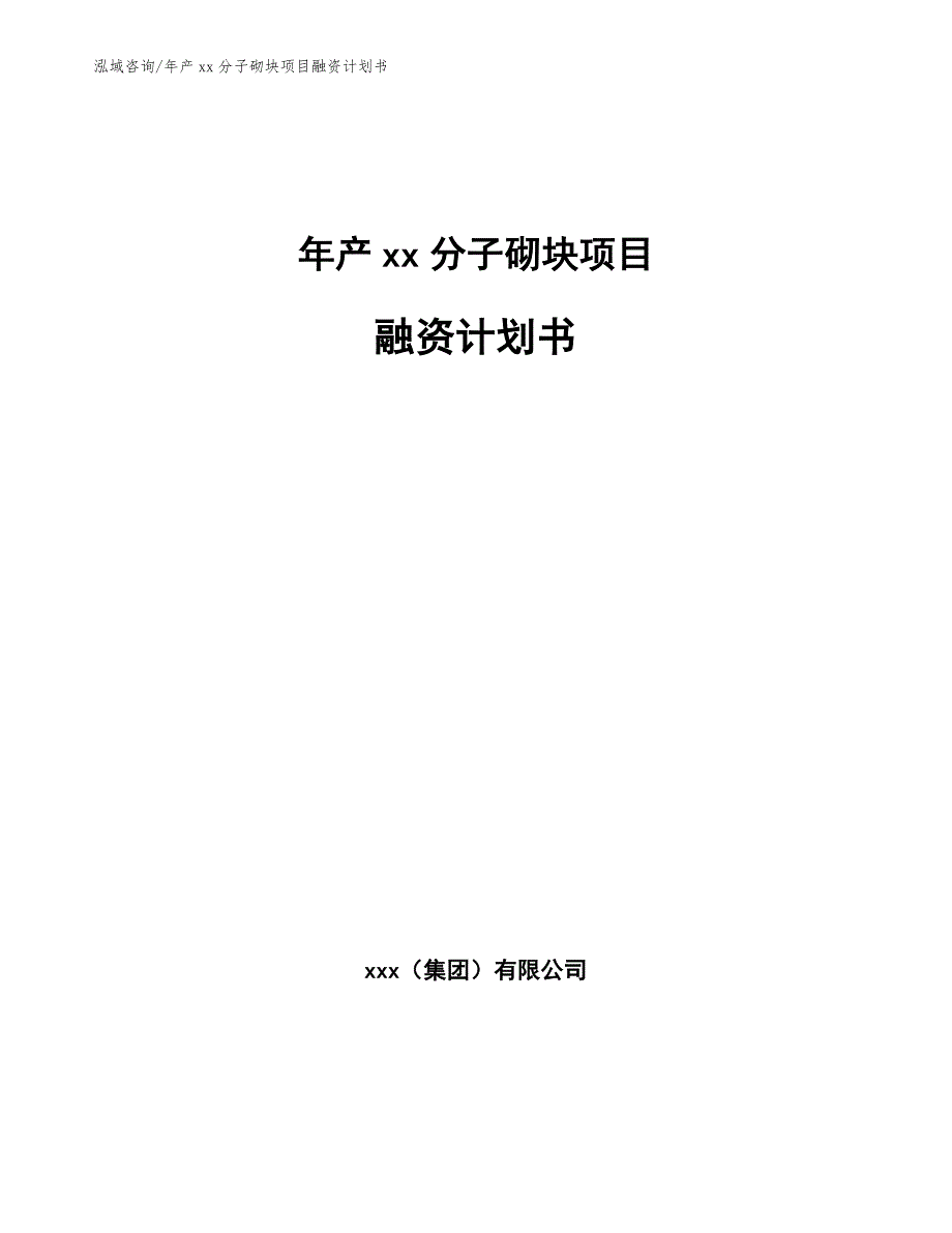 年产xx分子砌块项目融资计划书【参考范文】_第1页