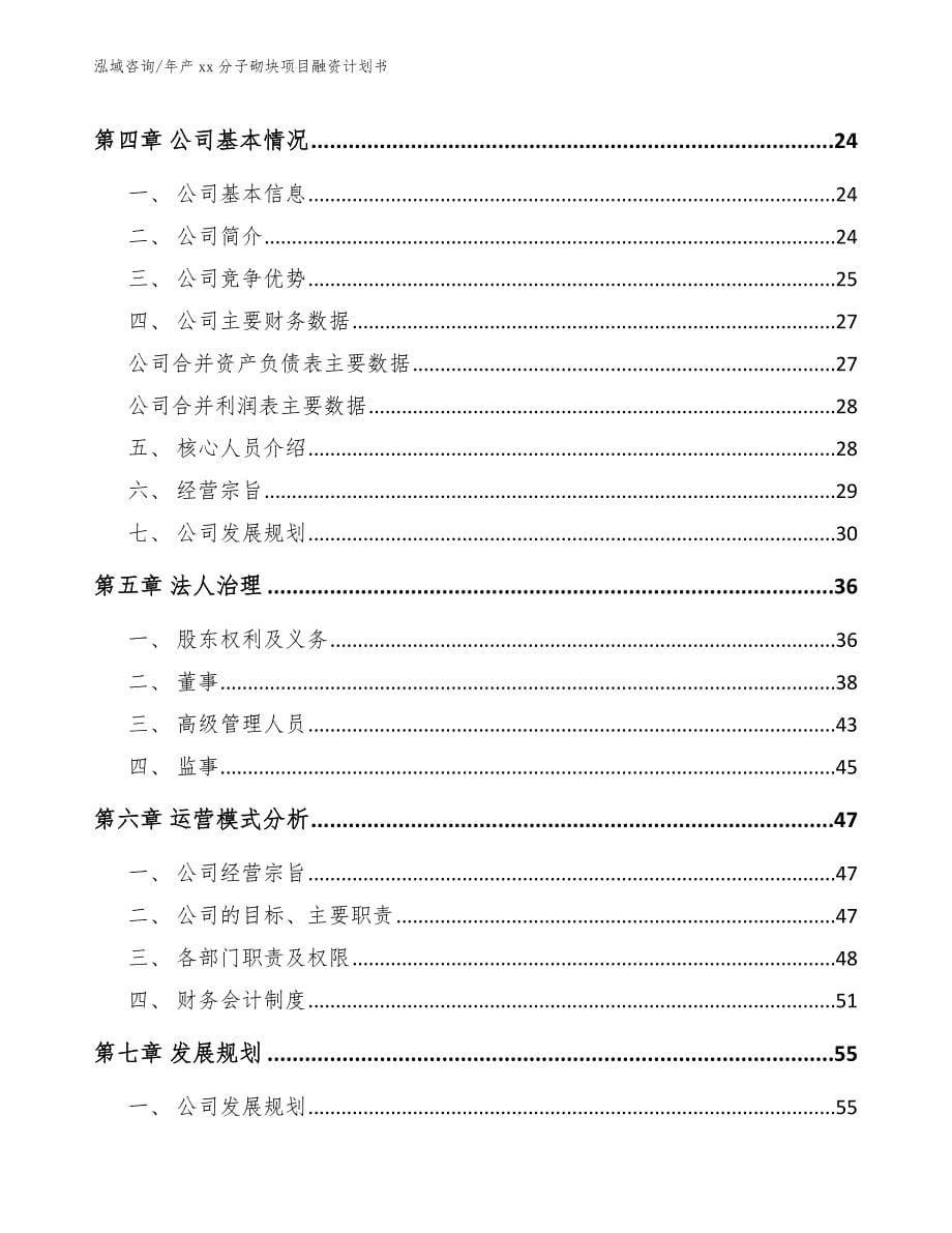 年产xx分子砌块项目融资计划书【参考范文】_第5页