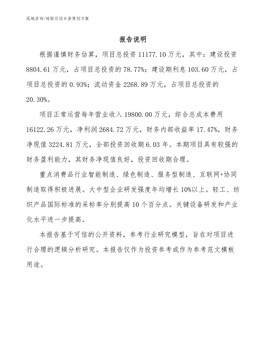 硅胶运动水壶策划方案【模板】_第2页